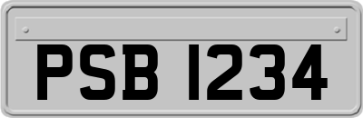 PSB1234
