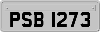 PSB1273