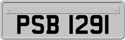 PSB1291