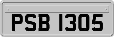 PSB1305