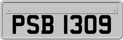 PSB1309
