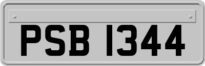 PSB1344