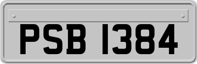 PSB1384