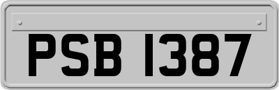 PSB1387