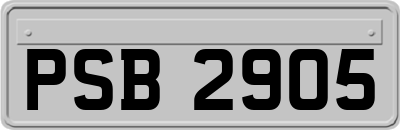 PSB2905