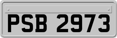 PSB2973