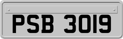 PSB3019