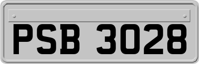 PSB3028