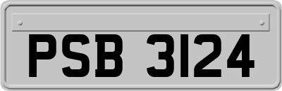 PSB3124