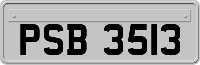 PSB3513