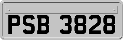 PSB3828