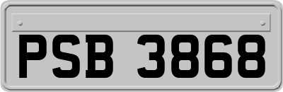 PSB3868