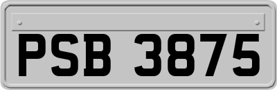 PSB3875