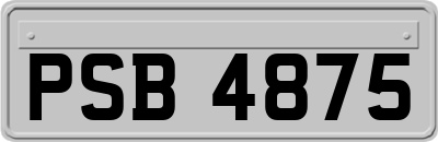 PSB4875