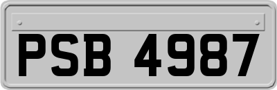 PSB4987