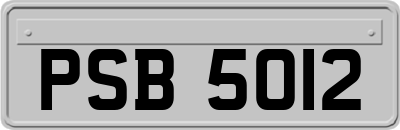 PSB5012