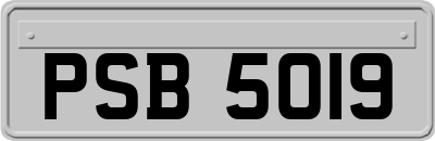 PSB5019
