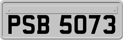 PSB5073