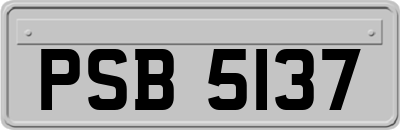PSB5137