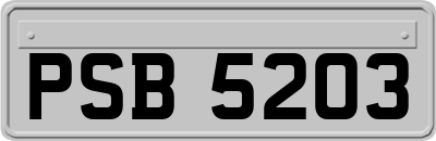 PSB5203