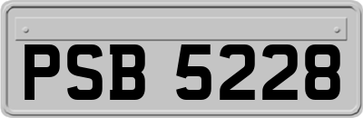 PSB5228