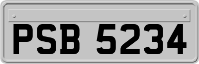 PSB5234