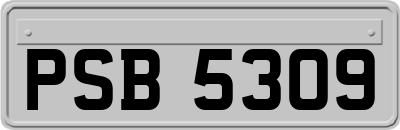 PSB5309