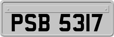 PSB5317