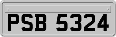 PSB5324
