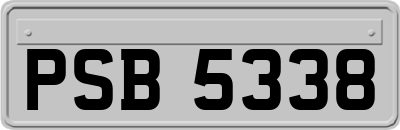 PSB5338