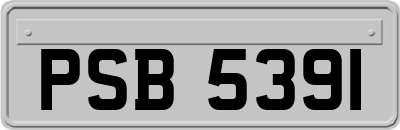 PSB5391