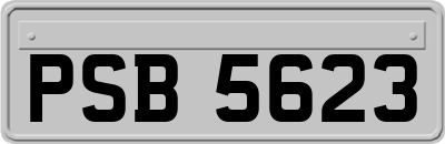 PSB5623