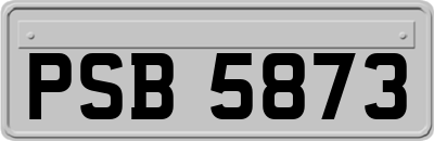 PSB5873