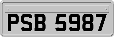 PSB5987