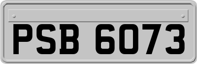 PSB6073