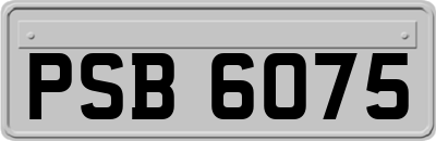 PSB6075