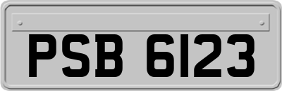 PSB6123
