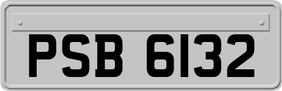 PSB6132