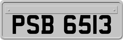 PSB6513