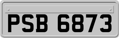 PSB6873