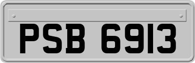 PSB6913