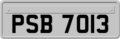 PSB7013