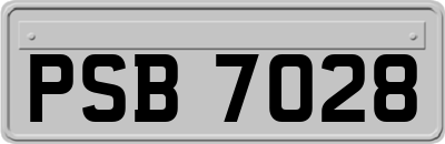 PSB7028
