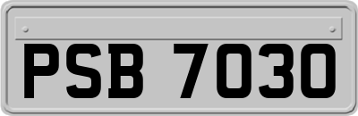 PSB7030