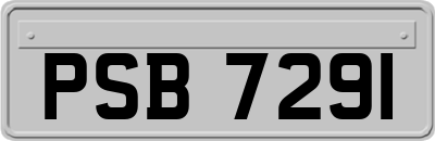 PSB7291