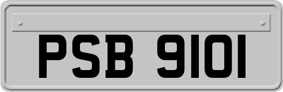 PSB9101