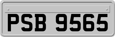 PSB9565