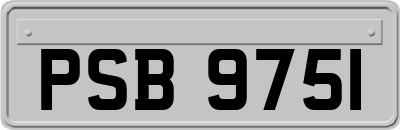 PSB9751