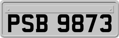 PSB9873