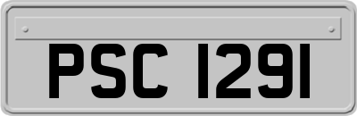 PSC1291